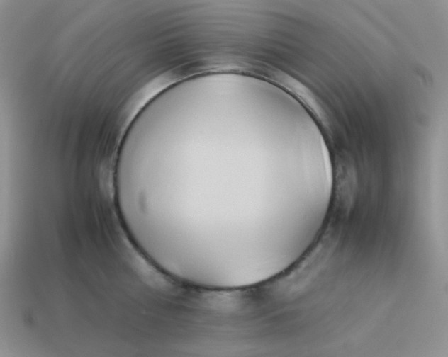 X0000114150810200910221545