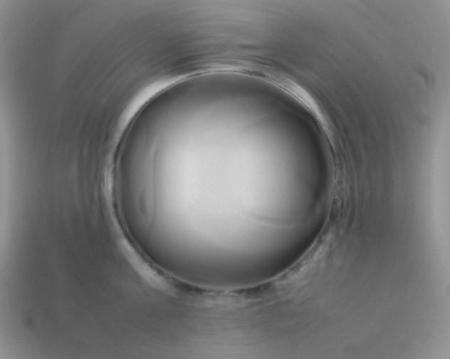 X0000114150811200910221545