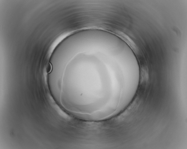 X0000114150812200910221545