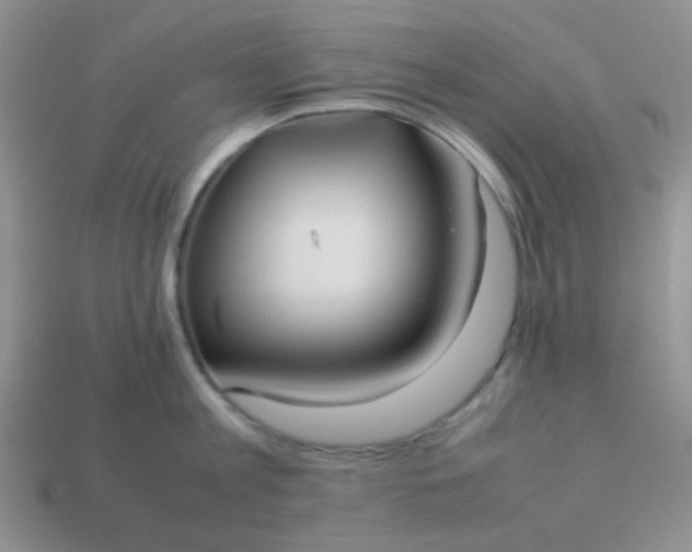 X0000114150813200910221545