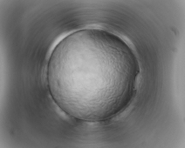 X0000114150816200910221545