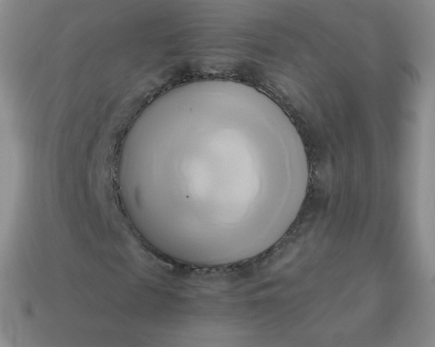 X0000114150817200910221544