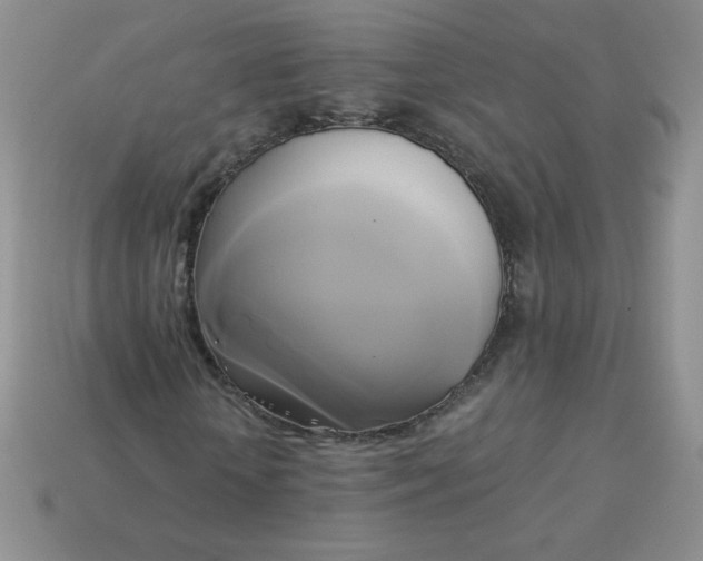 X0000114150818200910221545