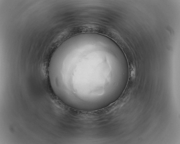 X0000114150819200910221545