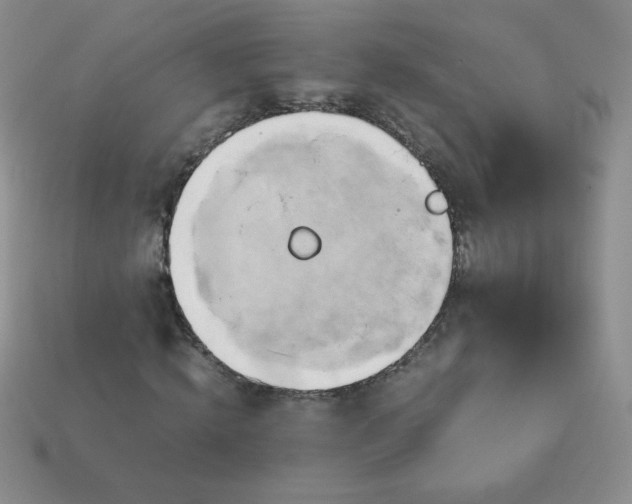 X0000114150820200910221545