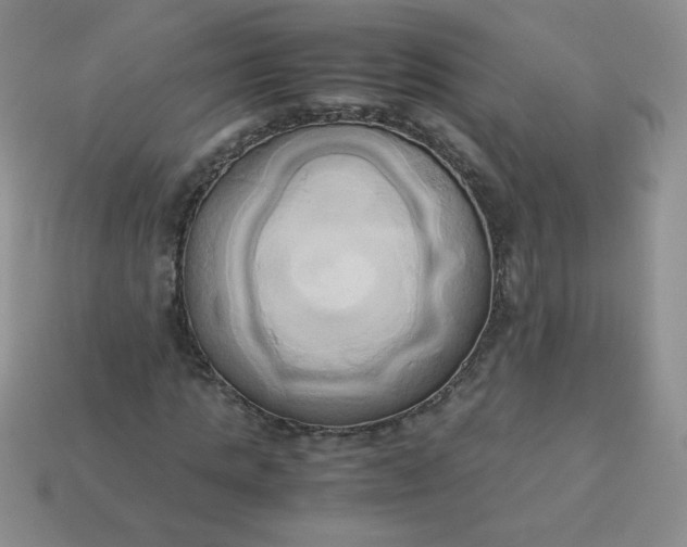 X0000114150821200910221545