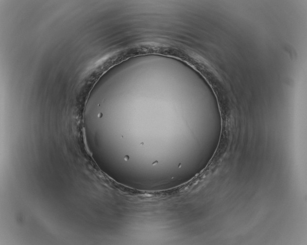 X0000114150822200910221545