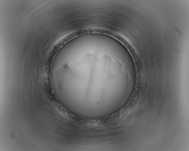 X0000114150823200910221545