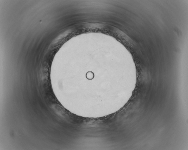 X0000114150824200910221545