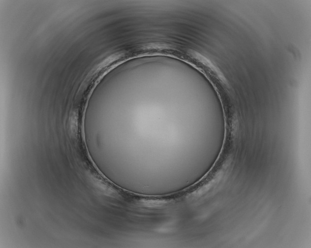 X0000114150825200910221545