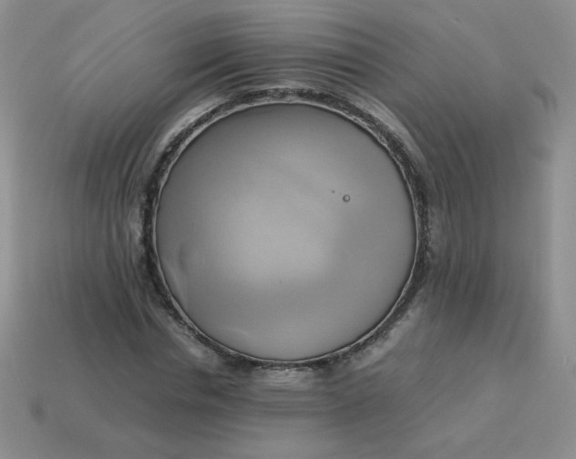 X0000114150826200910221545