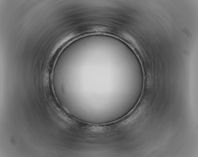 X0000114150827200910221545