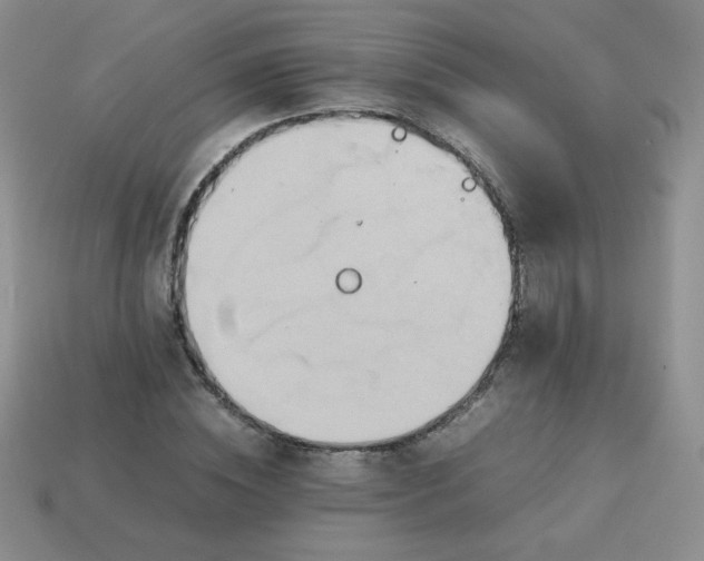 X0000114150828200910221545