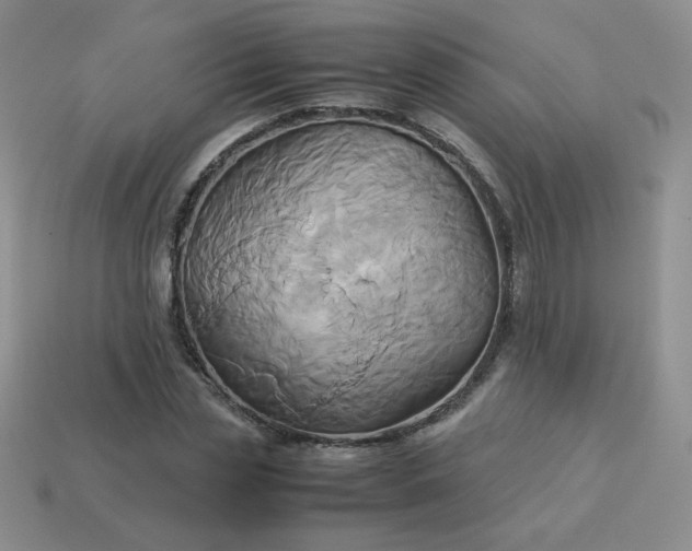 X0000114150829200910221545