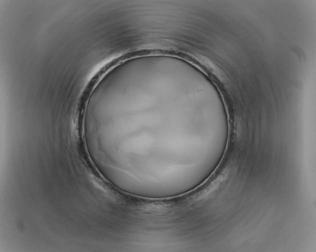 X0000114150830200910221545