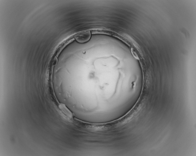 X0000114150831200910221545