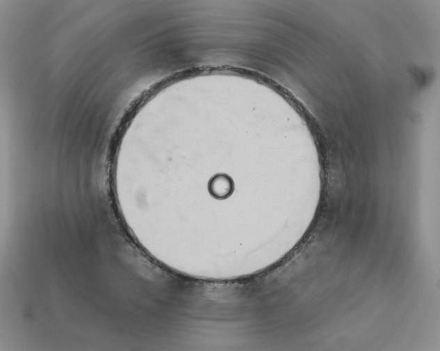 X0000114150832200910221545