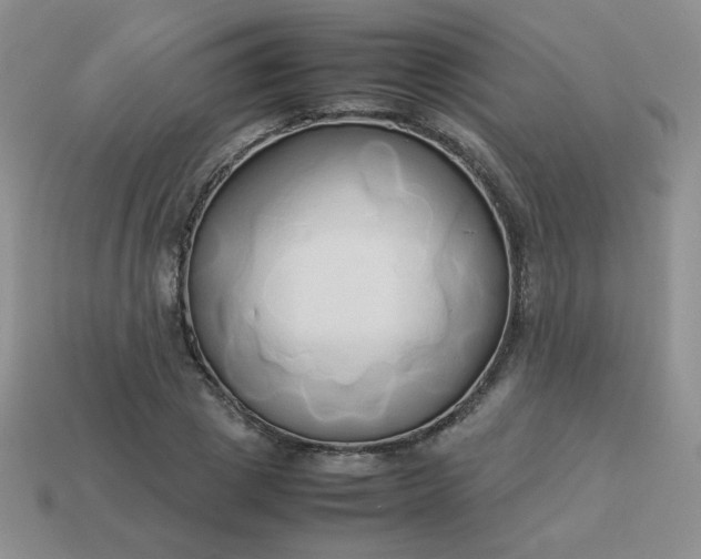 X0000114150833200910221545