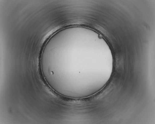 X0000114150834200910221545