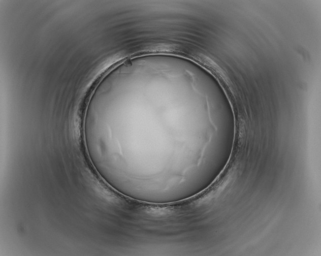 X0000114150835200910221545