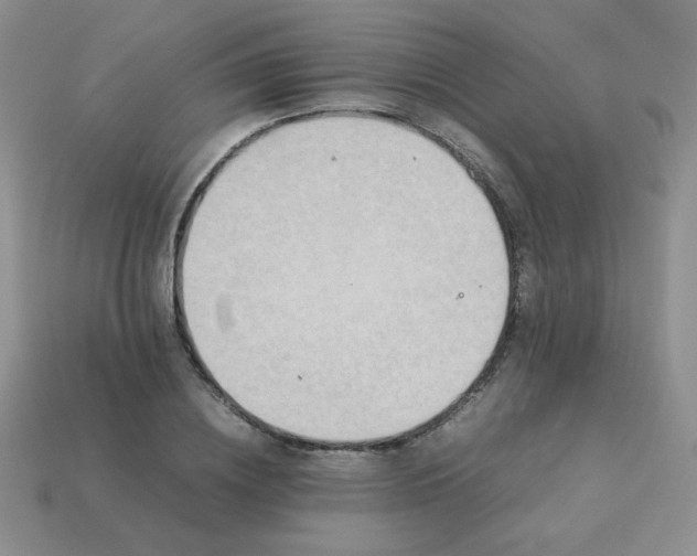 X0000114150836200910221545