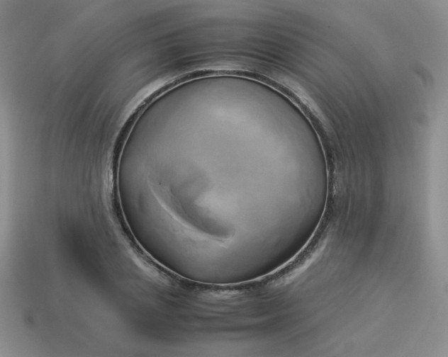 X0000114150837200910221545