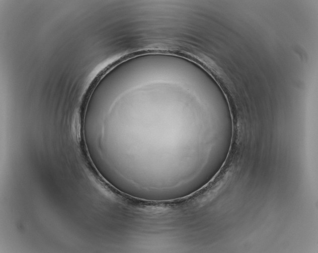 X0000114150838200910221545