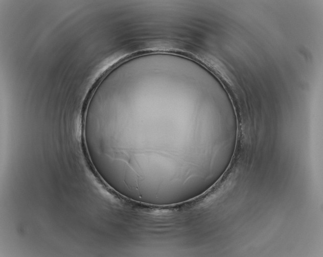 X0000114150839200910221545