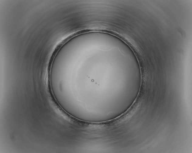 X0000114150840200910221545