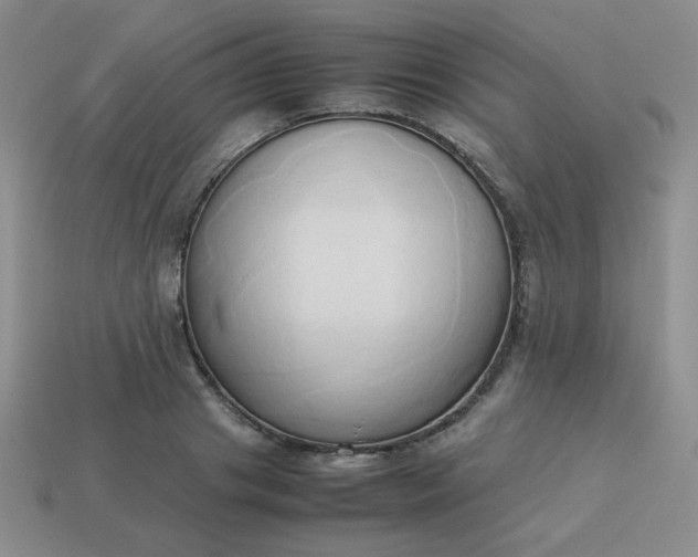 X0000114150841200910221545