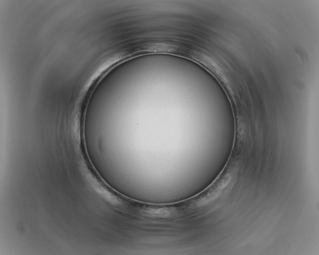 X0000114150843200910221545