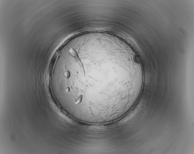 X0000114150844200910221545