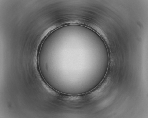 X0000114150845200910221545