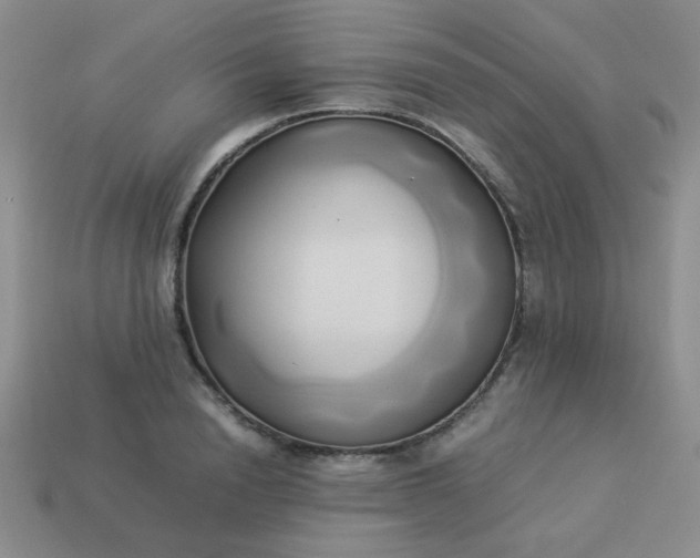 X0000114150846200910221545