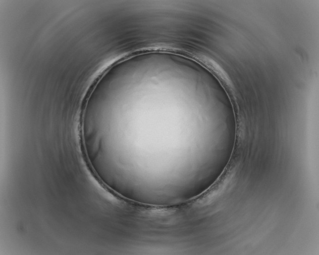 X0000114150847200910221545