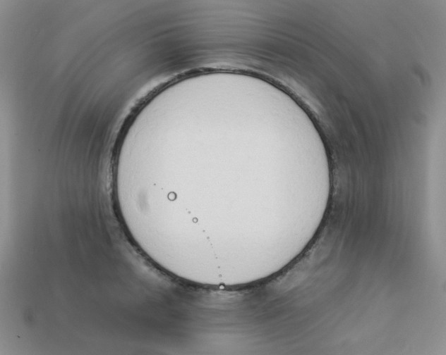 X0000114150848200910221545