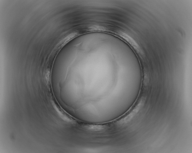 X0000114150849200910221545