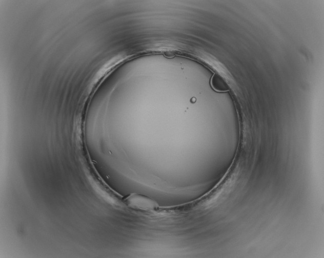 X0000114150850200910221545