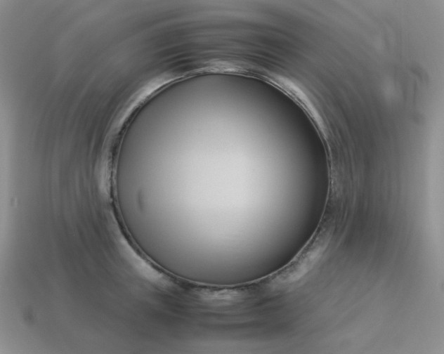 X0000114150851200910221545