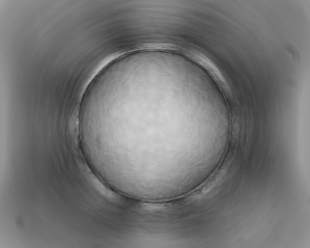 X0000114150852200910221545