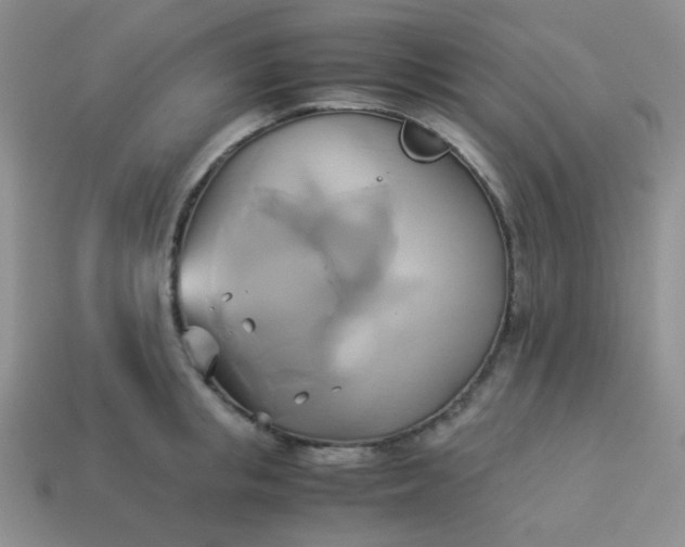 X0000114150853200910221545