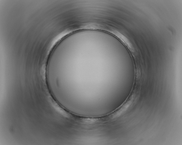 X0000114150854200910221545