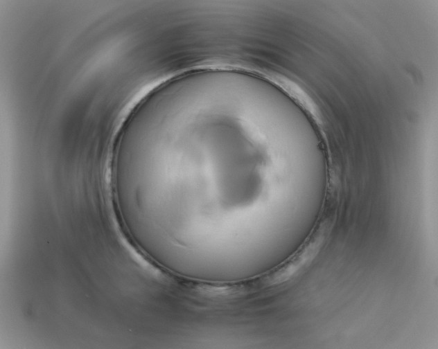 X0000114150855200910221545