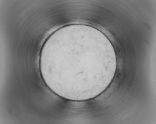 X0000114150856200910221545