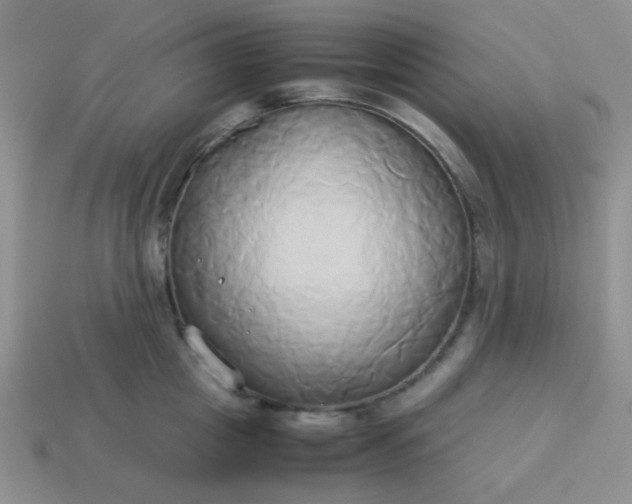 X0000114150857200910221545