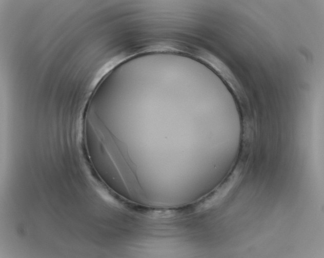 X0000114150858200910221545