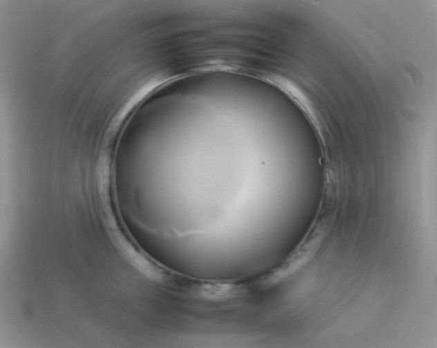 X0000114150859200910221545