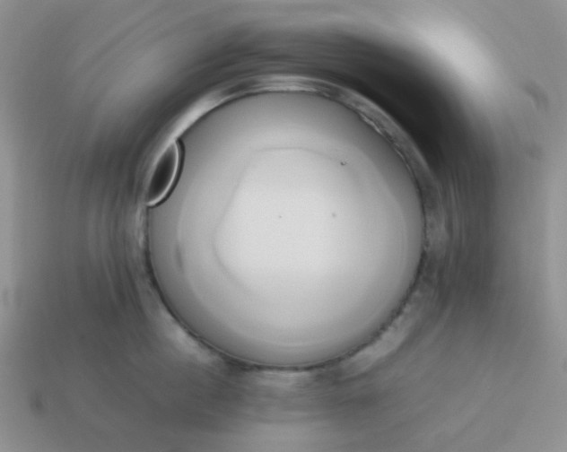 X0000114150860200910221545