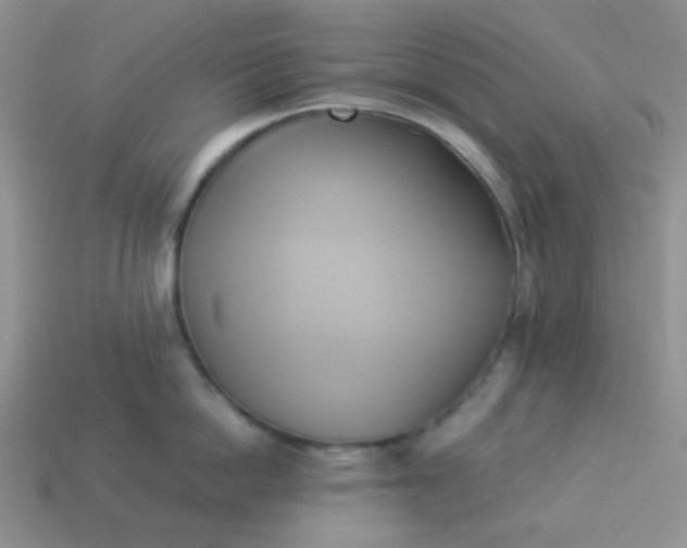 X0000114150862200910221545