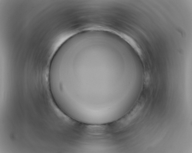 X0000114150863200910221545